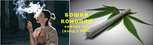 шишки Алексеевка
