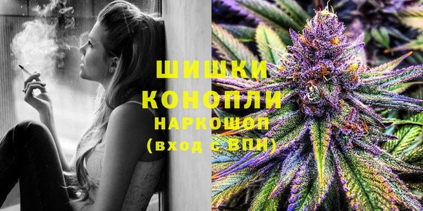 шишки Алексеевка